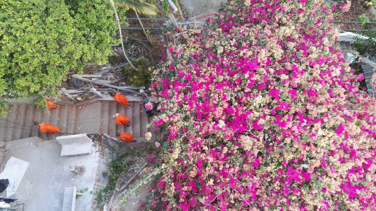 Wat Suthep